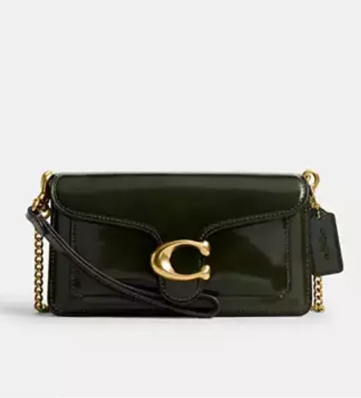 Tabby Chain Crossbody Bag 19